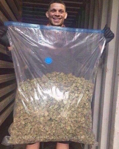 Костя Пакистан в LOOKY. . Солнце светит ярко 
...
