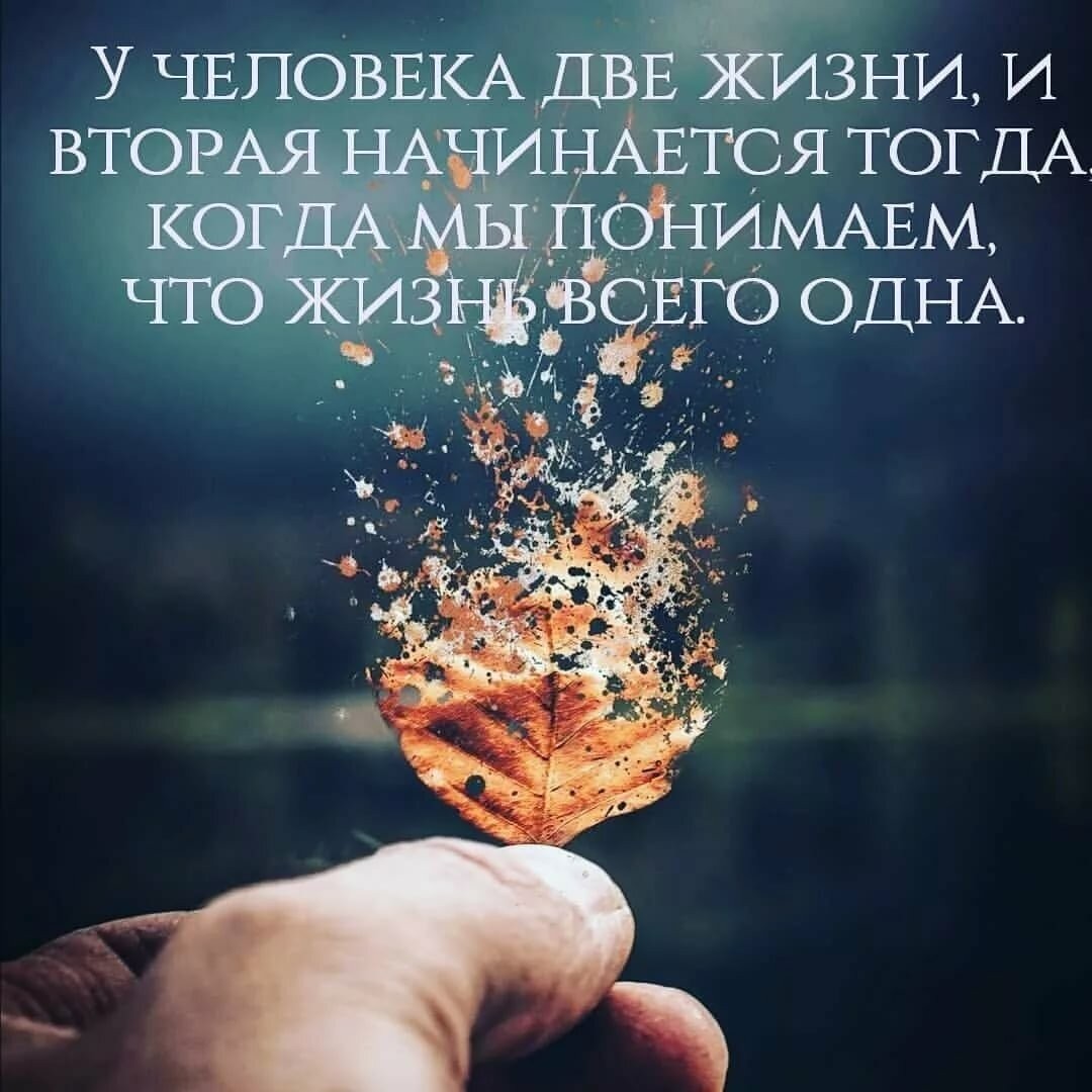  в LOOKY — публикация