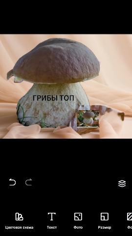 вова уннв в LOOKY. . 