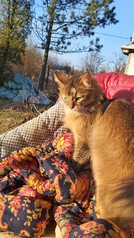 ХАнна в LOOKY. . Первый дачный день
[...