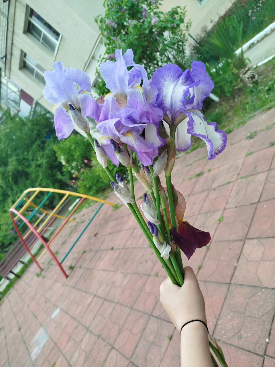Роза Бахарева в LOOKY — фото 2