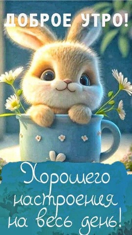 Glayzers в LOOKY. . Доброе утро#утро