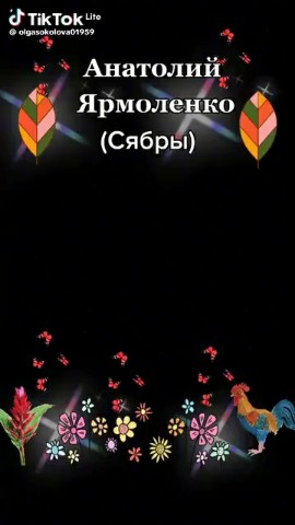 Looky_178209786939441 в LOOKY. . https://ozon.ru/fint...