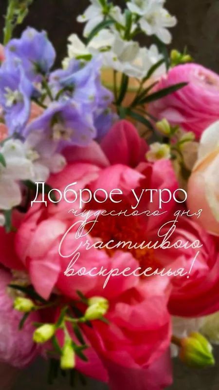 Looky_1696668920336 в LOOKY — публикация