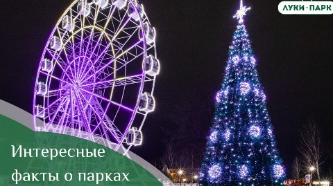 Looky_1666102100046 в LOOKY. . 