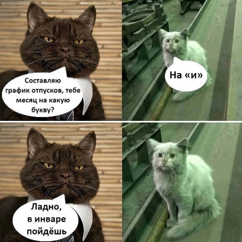 Looky_1700492529377 в LOOKY. . [#looky_нейронка](lo...