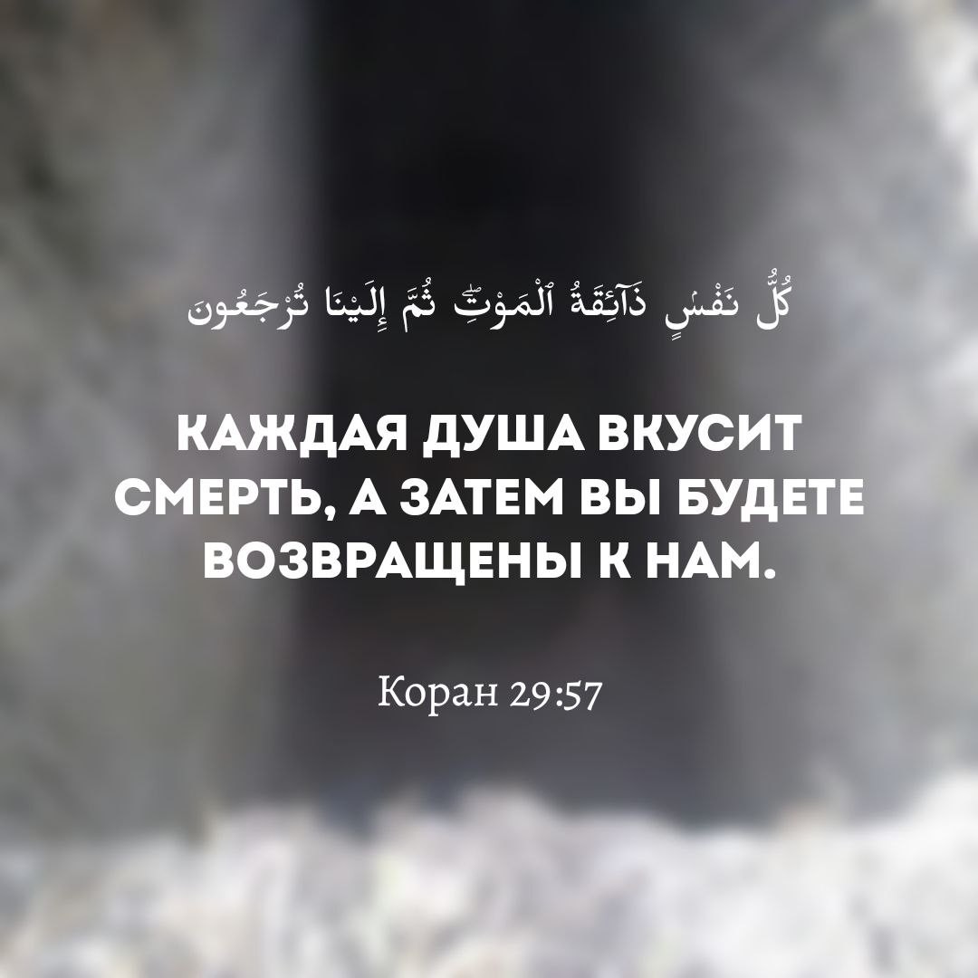 #Коран #Ислам #Сунна #жизнь