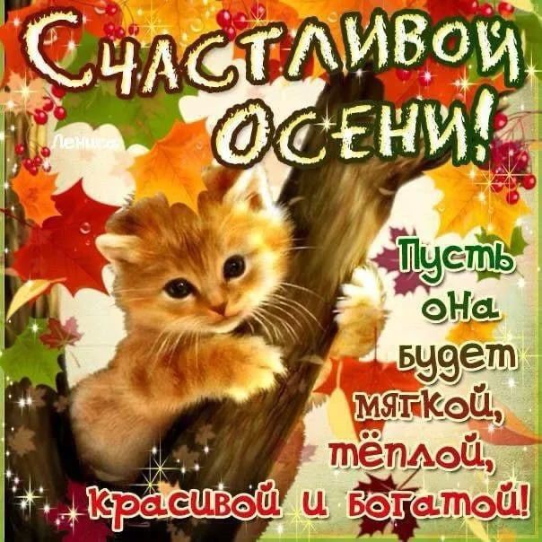 Сириус в LOOKY — публикация