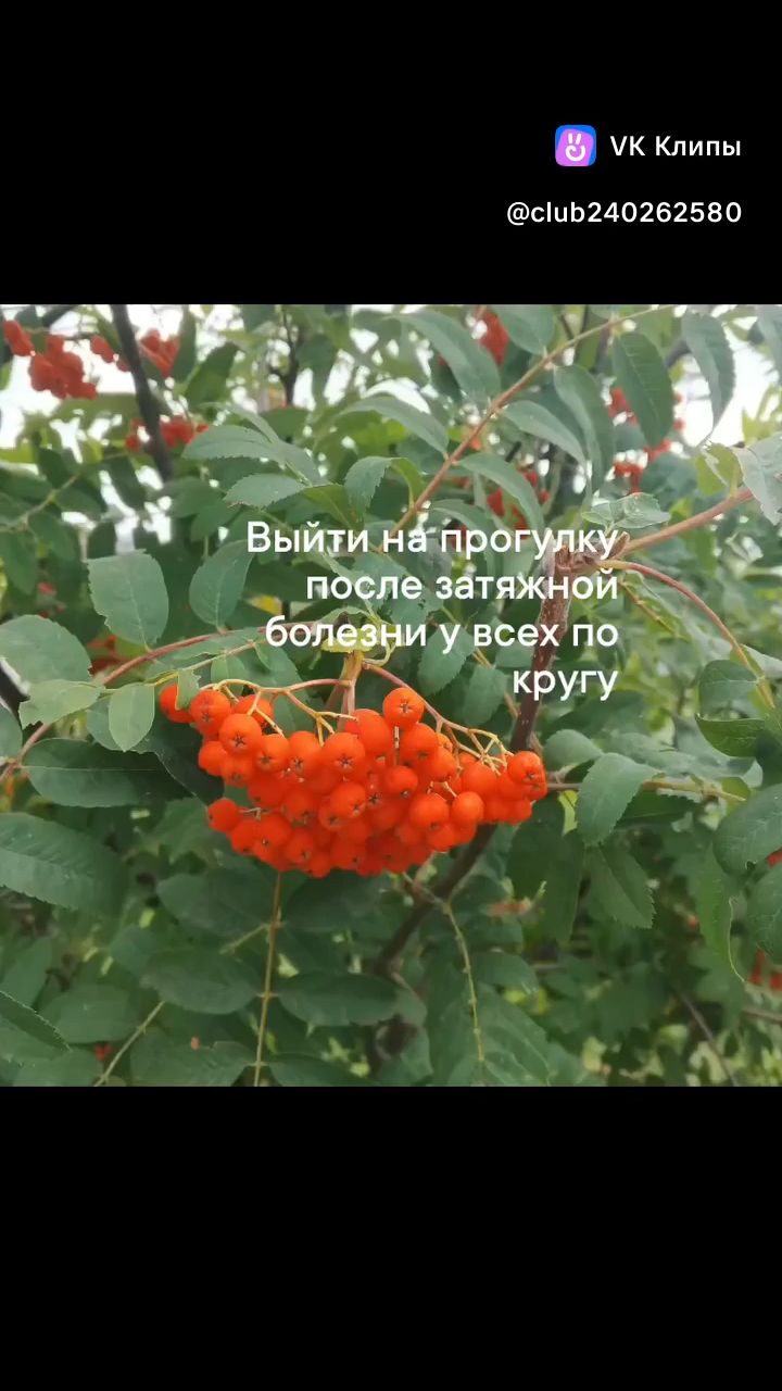 Зеленые пальцы в LOOKY. . А как вы сегодня? ☕♥...