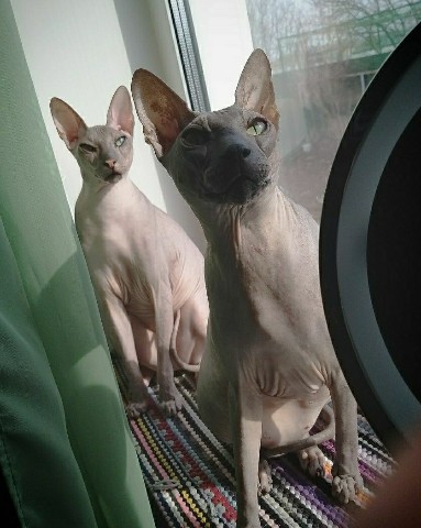 Looky_1695576157201 в LOOKY. . А мы уже ждем весну,...