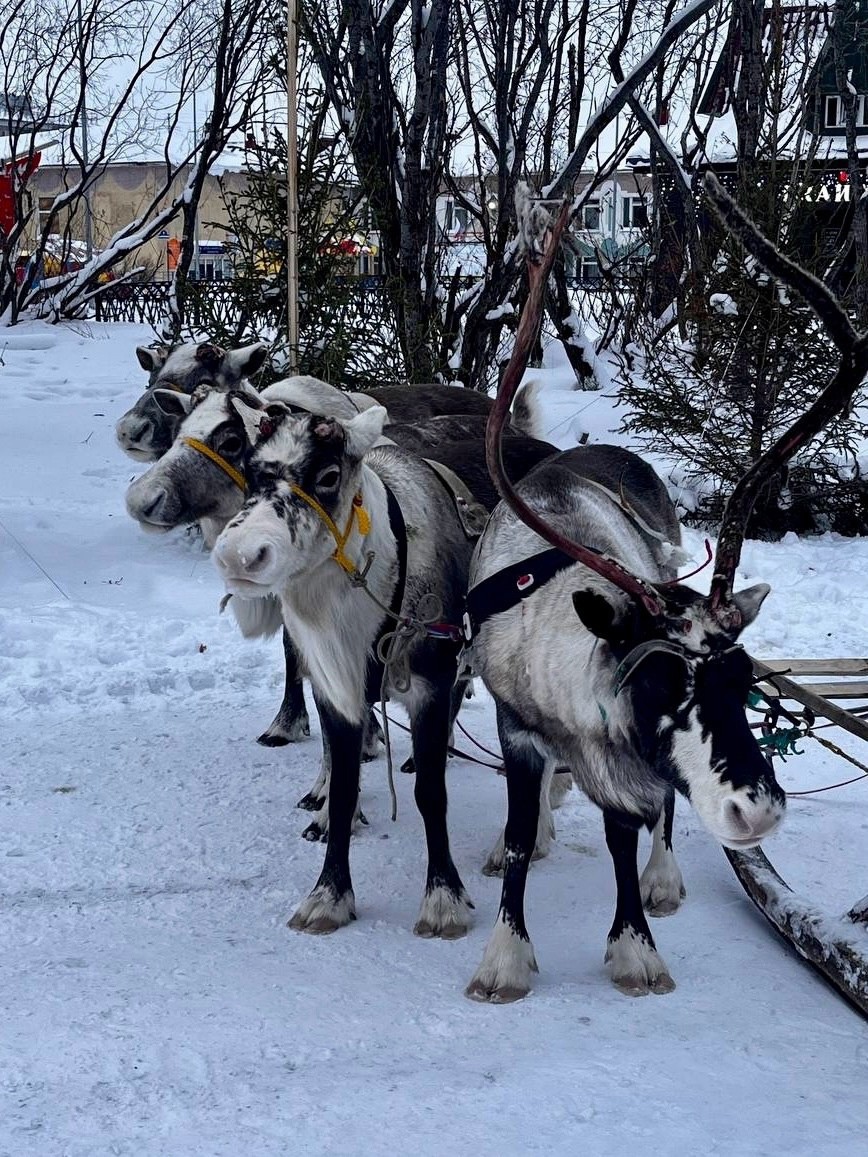 Sergey in LOOKY. . Вчера в Воркуте, в ч...