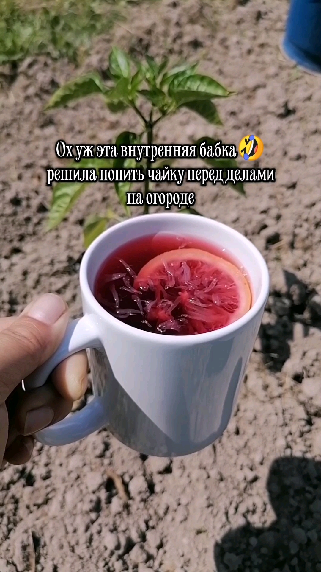 ольга в LOOKY. . Ох уж эта внутренняя...