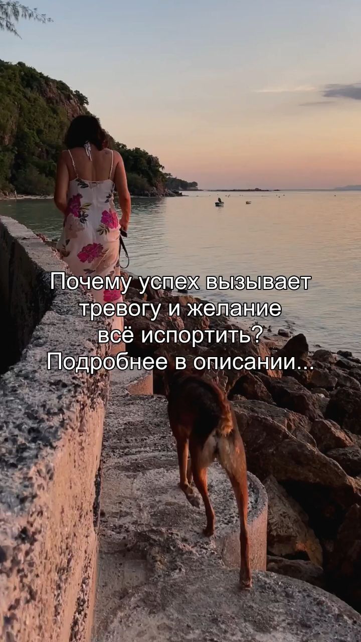 artem_areels в LOOKY — Ты достигаешь успеха. Ты получаешь то, к чему шёл. Но вместо