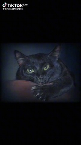 Looky_1721021213975 в LOOKY. . 