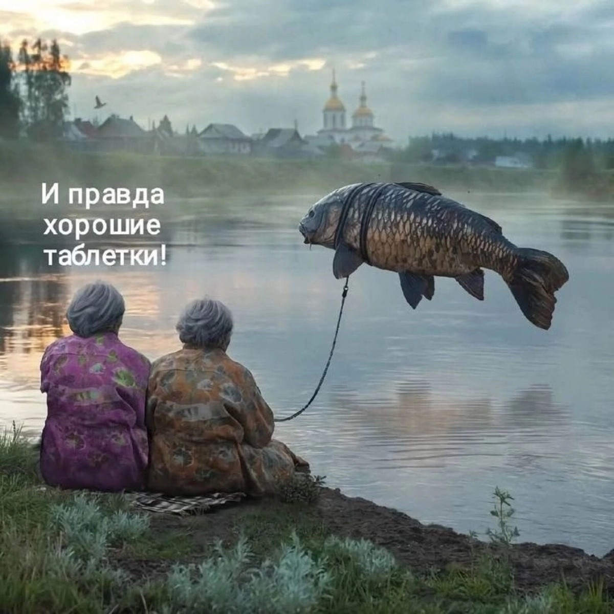 #юмор #здоровый_юмор  #юмор_для_здоровья 
#женскийюмор