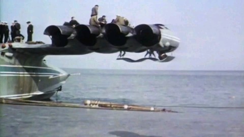 _whalesfly_ в LOOKY. . 