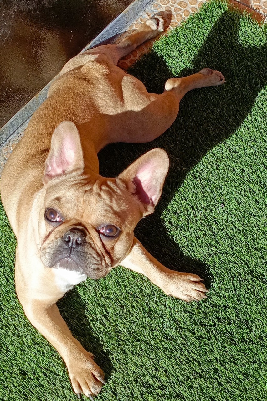 Nata 4 life в LOOKY — фото 1