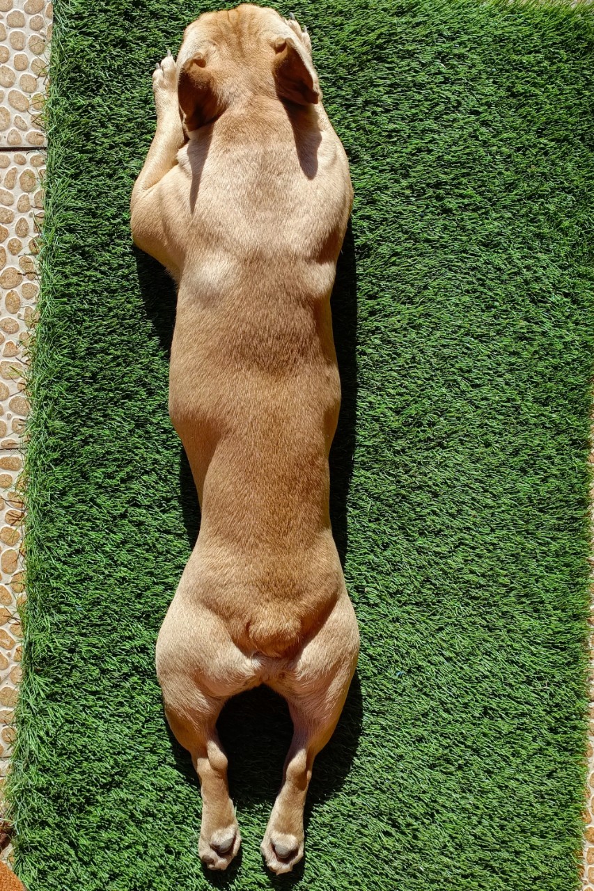 Nata 4 life в LOOKY — фото 3