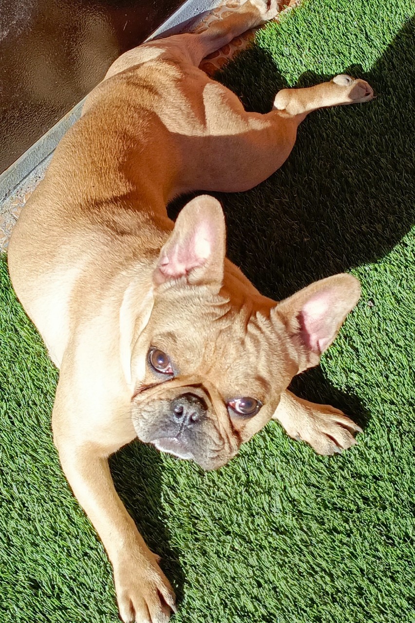 Nata 4 life в LOOKY — фото 4