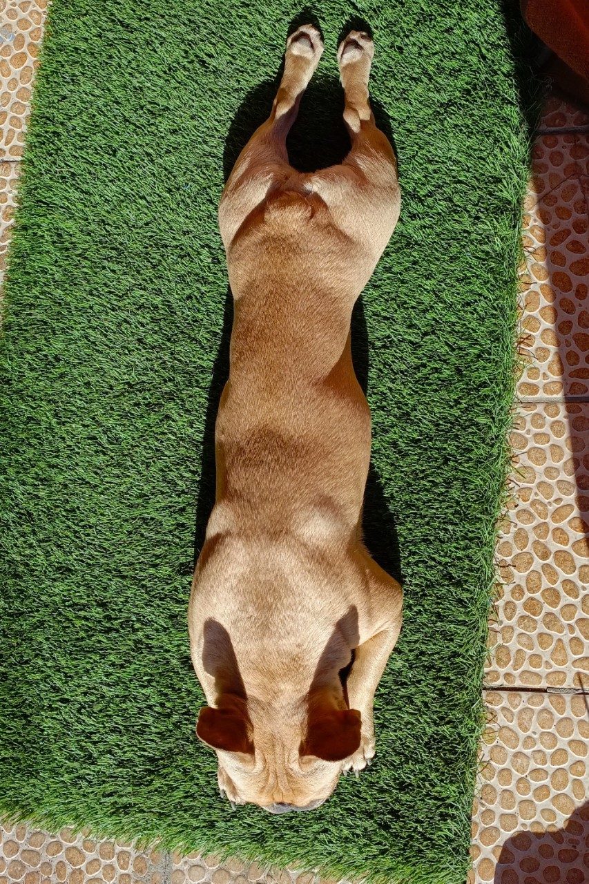 Nata 4 life в LOOKY — фото 2