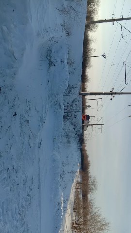 Looky_177694656350399 в LOOKY. #хвостатый_друг. #хвостатый_друг