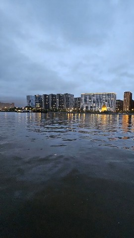sergeech91 в LOOKY. . Кит в реке Москвы, к...