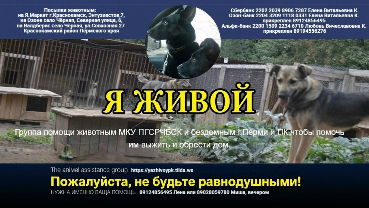 Лена Козлова в LOOKY — Мне тут задали интересный вопрос: «А вы так и живёте одними 