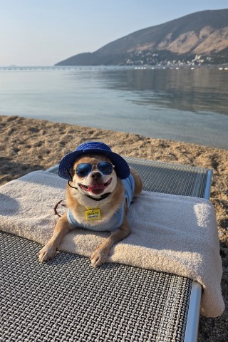 chiwawa.george в LOOKY. . Не знаю, как ма умуд...