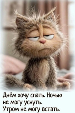 Sunsun в LOOKY. . 