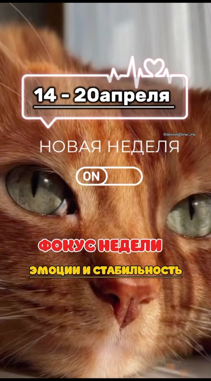 moonglow_ru в LOOKY. #астрология,#гороскоп,#лунныефазы,#эмоции,#знакизодиака,#луна,#скорпион,#стрелец,#козерог,#солнечное_влияние,#телец,#меркурий,#нептун,#марс,#плутон,#эзотерика,#психология,#отношения,#прогноз,#любовь,#натальнаякарта,#красиваяастрология,#гороскопнакаждыйдень. ▪️Понедельник, 14 ап...