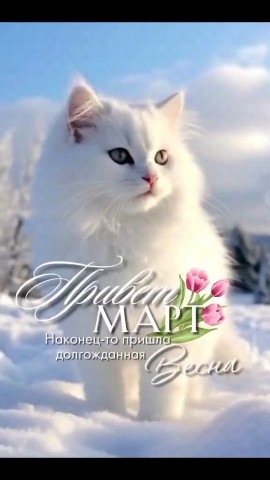 svet_lana_jasper в LOOKY. . 