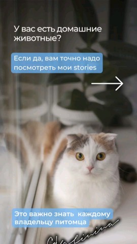 Looky_172450834595584 в LOOKY. . 