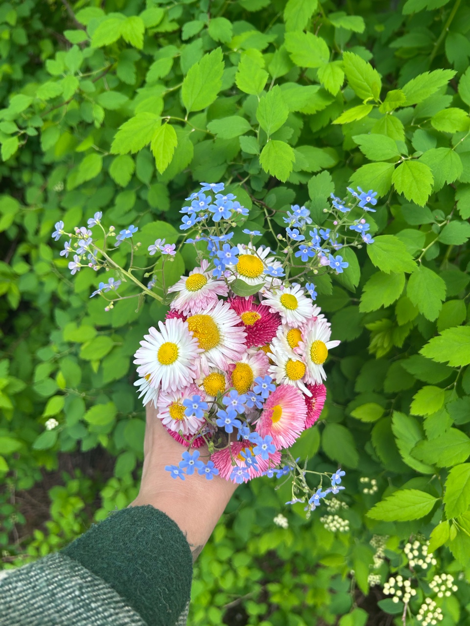 Весна 🌸❤️ в Подмосковье 
#весна2026
[#подмосковье360 ](подмосковье360)
[#подсосковье ](подсосковье)
[#снегири ](снегири)
[#дедовск ](дедовск)
[#истринскийрайон ](истринскийрайон)