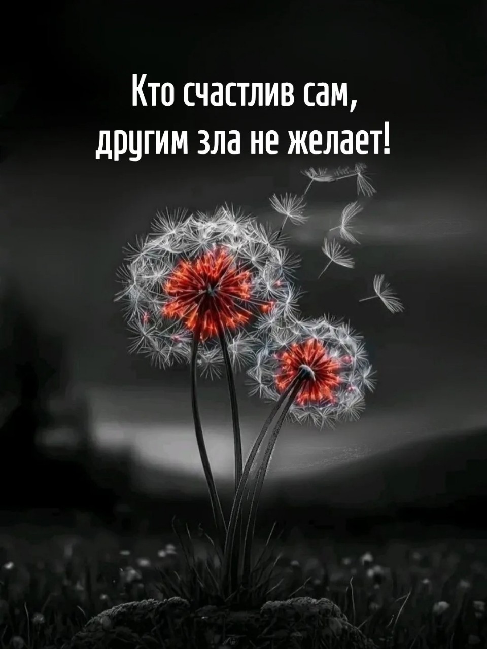 Оля в LOOKY — публикация
