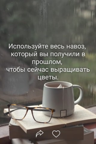 olga_malyy в LOOKY. . Это просто должно бы...