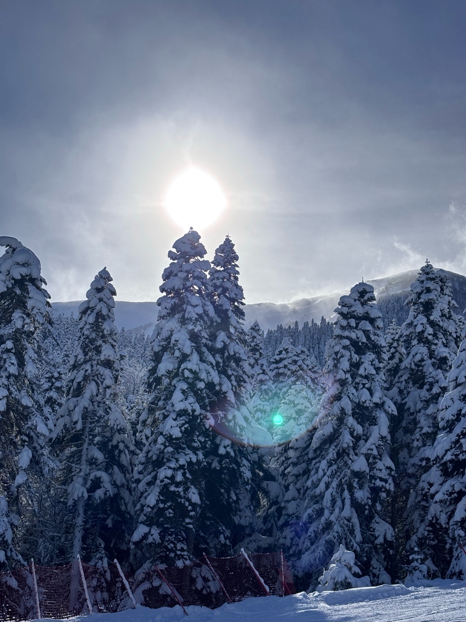 archizelig в LOOKY — Какие виды раздают #горы #2026 #looky