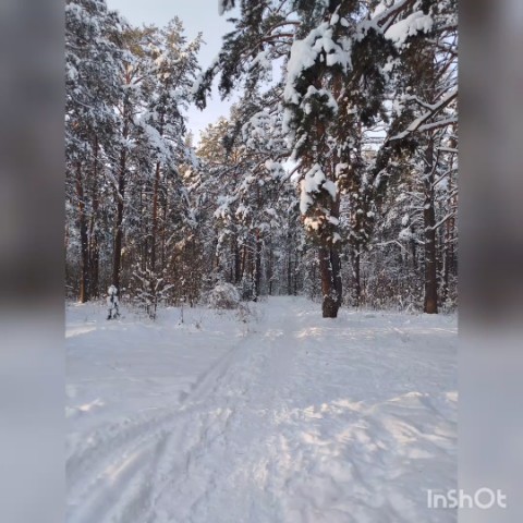 sundryo в LOOKY. #новыйгод2026. Наша прогулка по Кам...