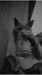nomore.61 в LOOKY. . Мурмулях 🥰🫶 [#musi...