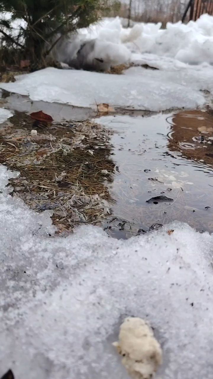 Татьяна Чечко    ЯВАТОМИ в LOOKY. . Погода всегда влияет...