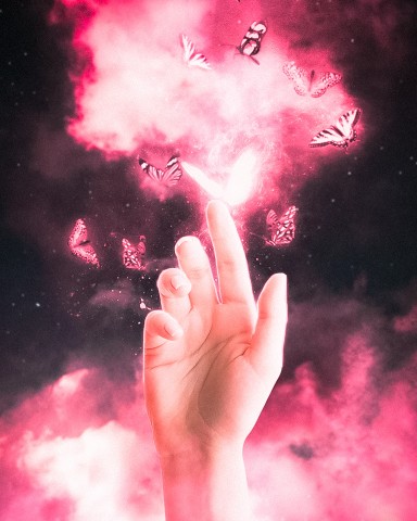 wigleg в LOOKY. #photoshop,#art,#magic,#butterflies,#фотошоп,#арт,#магия,#бабочки. Иногда достаточно ли...