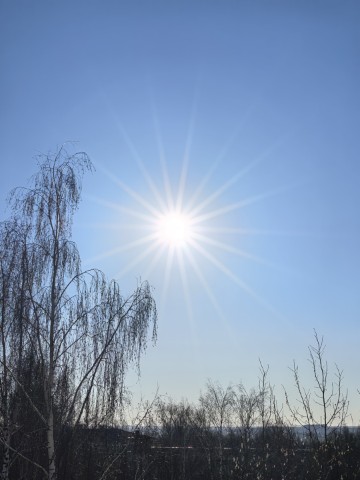 olshabalina в LOOKY. . Один из самых полезн...