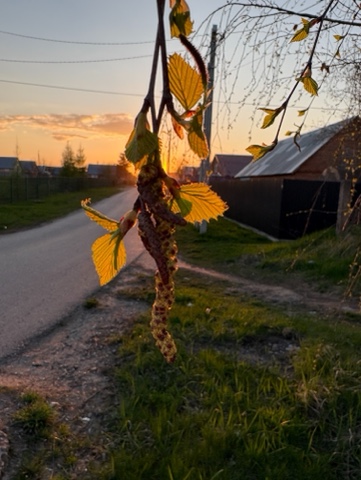 nadejdaejova в LOOKY. #каковакрасота. #каковакрасота