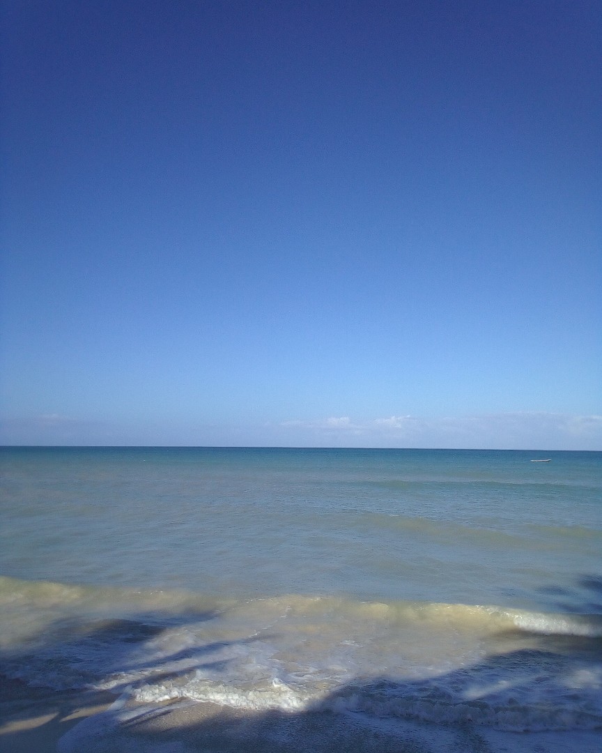 Earth Is Hard TV в LOOKY — The beauty of the east African coastline ( Diani Beach Kenya