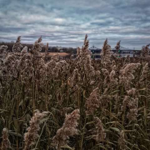 Дмитрий в LOOKY. #тверь,#осень. #тверь #осень [#прир...