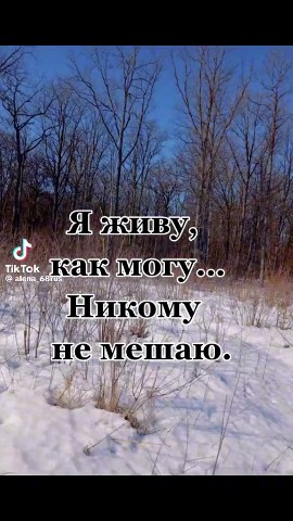 Владимир in LOOKY. . 