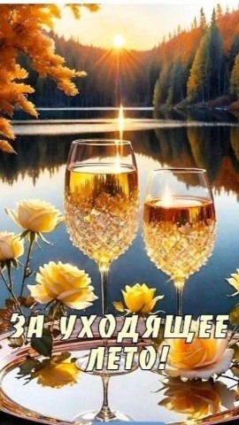 Looky_177521319440383 в LOOKY. . 