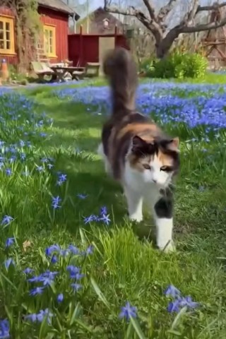 Looky_176556101524336 в LOOKY. . 