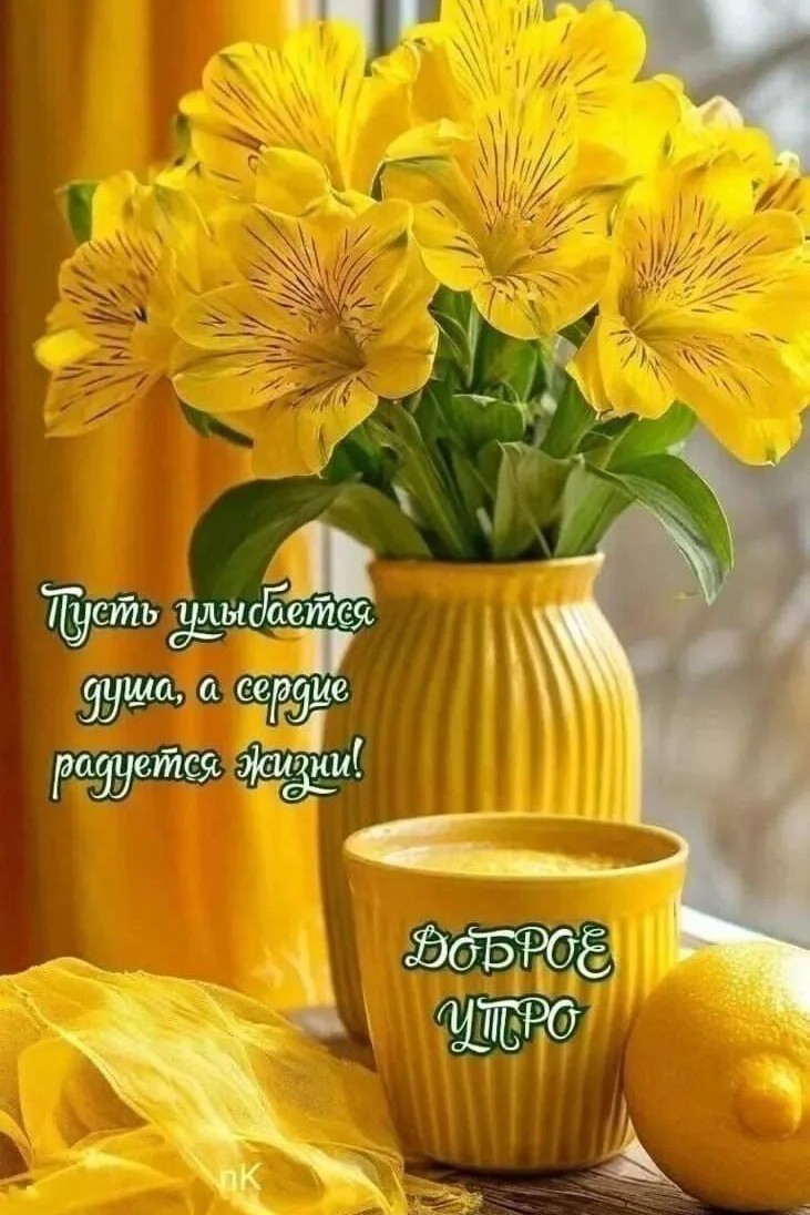 Сириус в LOOKY — публикация