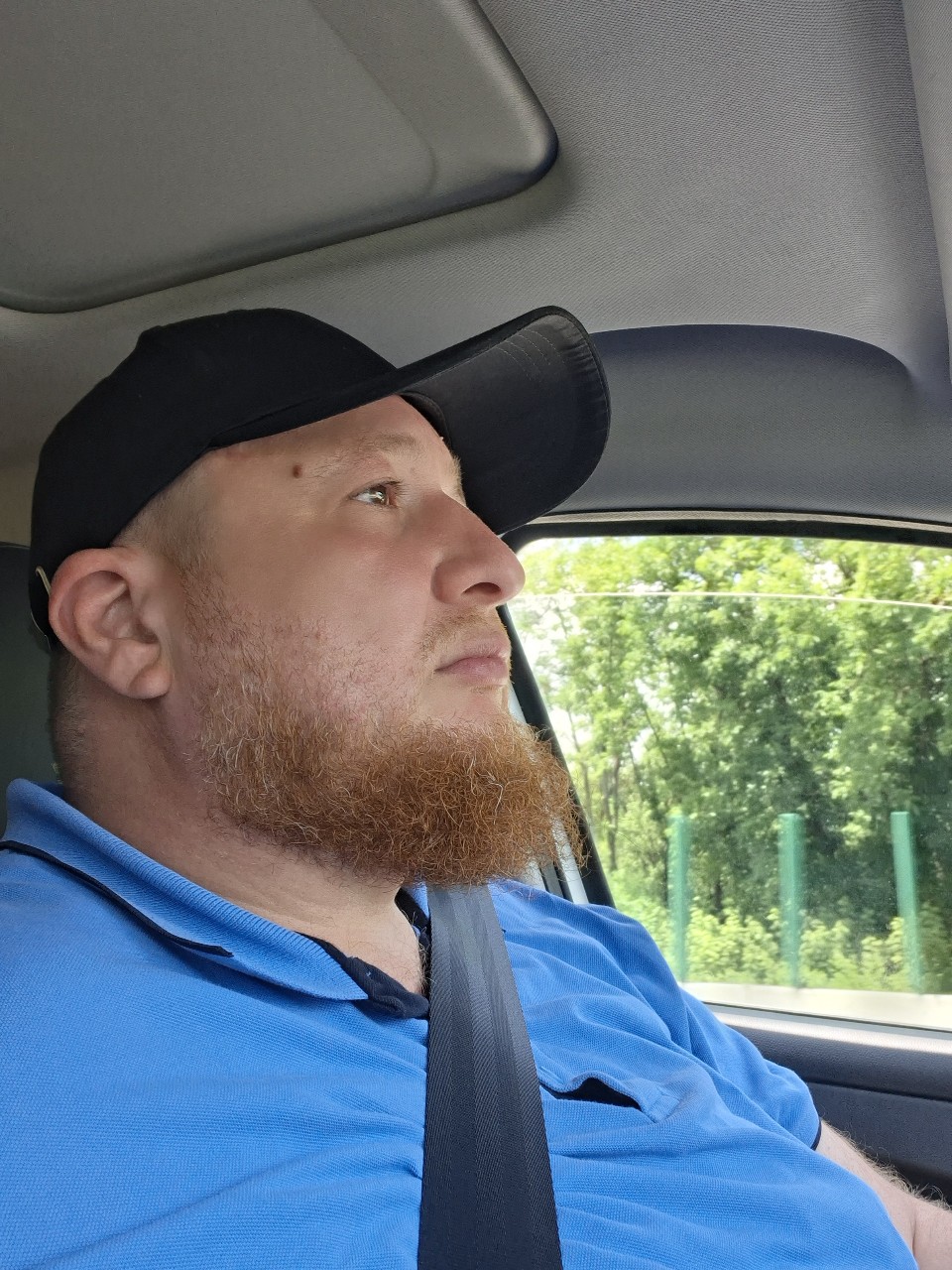 граф в LOOKY — публикация