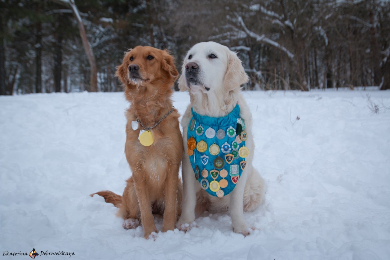 Katherine в LOOKY — фото 6